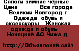 Сапоги зимние чёрные › Цена ­ 3 000 - Все города, Великий Новгород г. Одежда, обувь и аксессуары » Женская одежда и обувь   . Ненецкий АО,Чижа д.